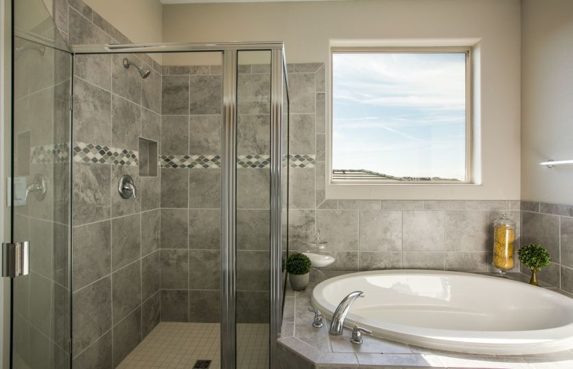 One option for your owner's bath is a separate bath tub and shower with a bright window and tile det