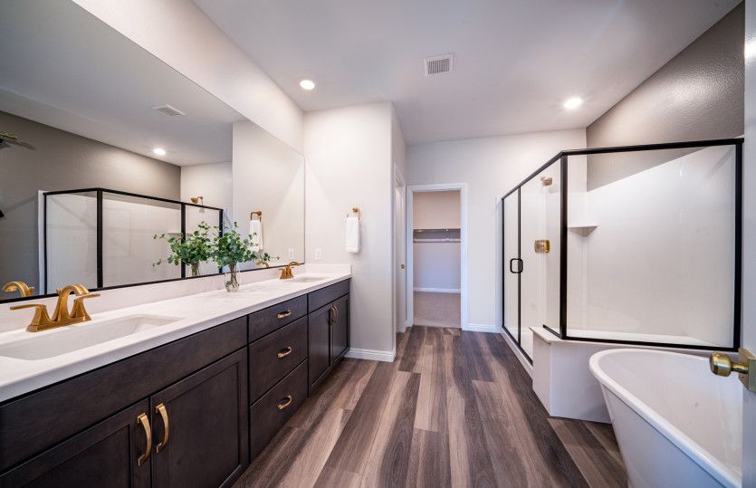 Luxurious Owner's Bath