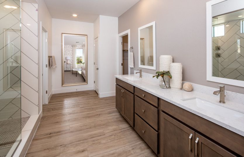 Owner's Bath