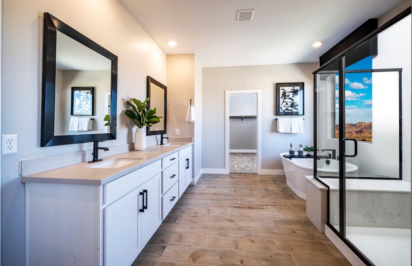 Owner's Bath