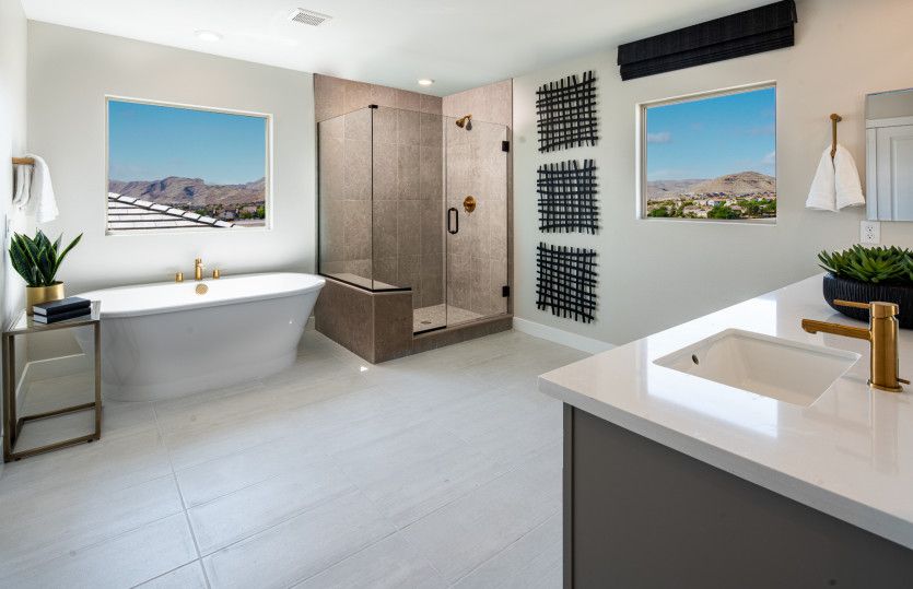 Owner's Bath