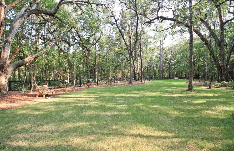 Carolina Bay Dog Park