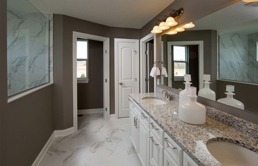 Owner's Bath