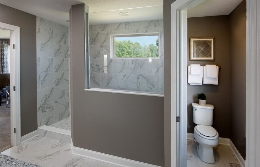 Owner's Bath