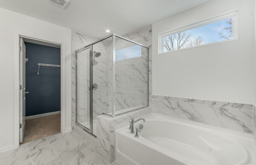 Owner's Bathroom, Model Representation