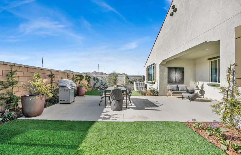 Backyard (Model Representation)