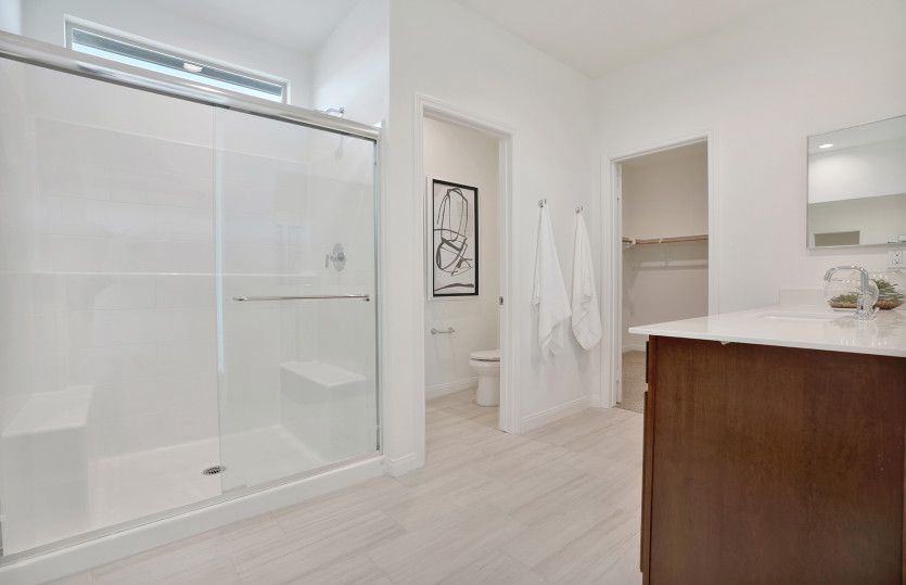 Owners Bathroom (Model Representation)
