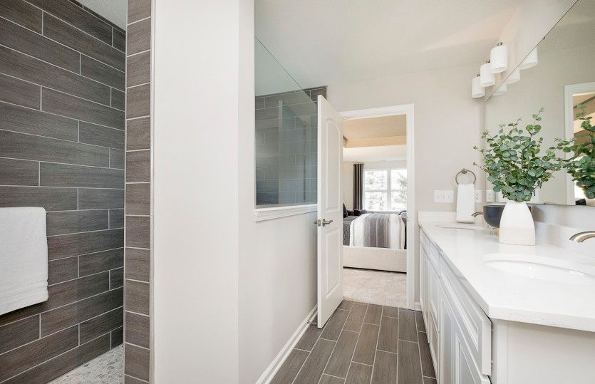 Owner's Bath