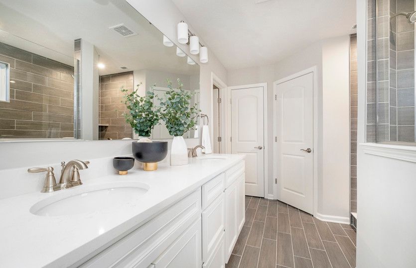 Owner's Bath