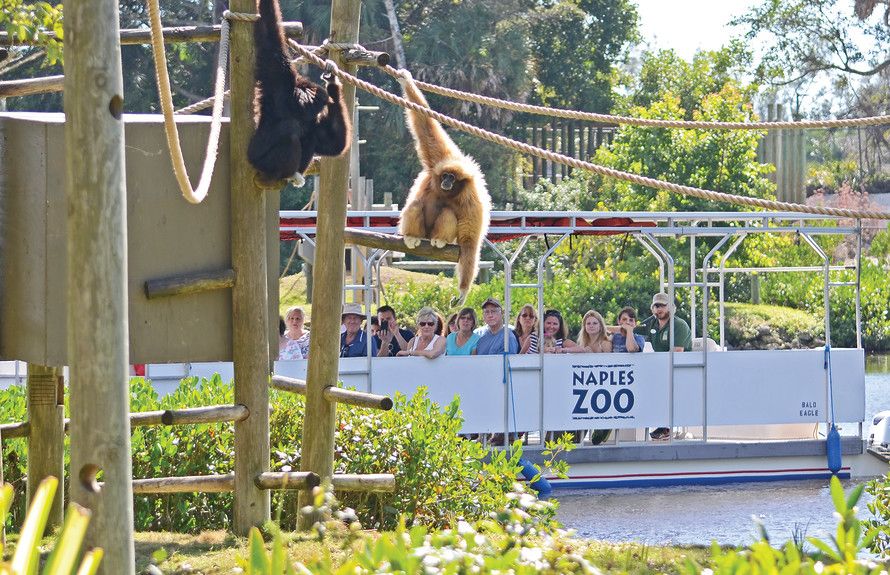 Close to Popular Attractions