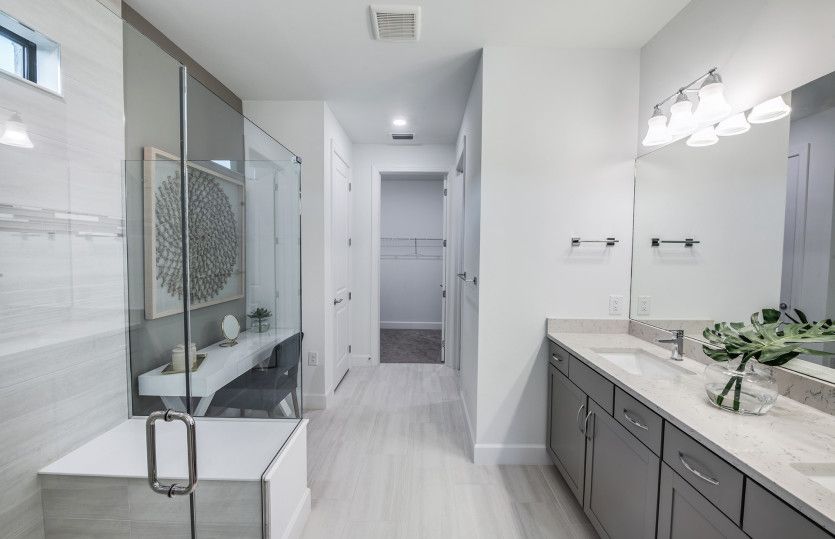 Owner's bath with walk-in shower