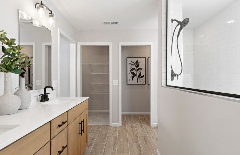 Owner's Bath Suite