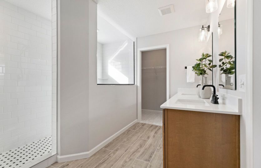 Owner's Bath Suite
