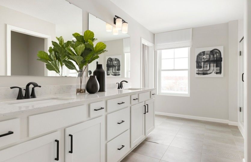 Owner's Bath Suite