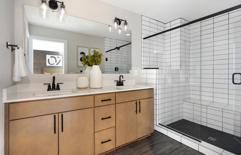 Owner's Bath Suite