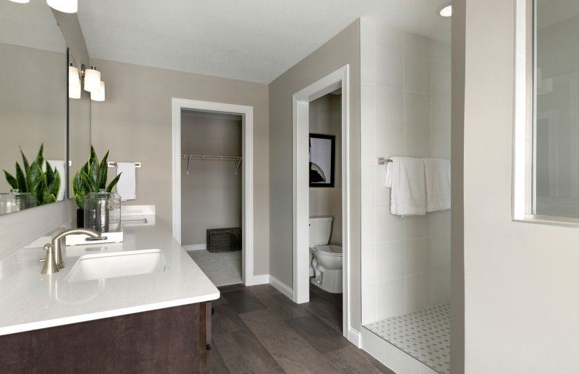 Owner's Bath Suite