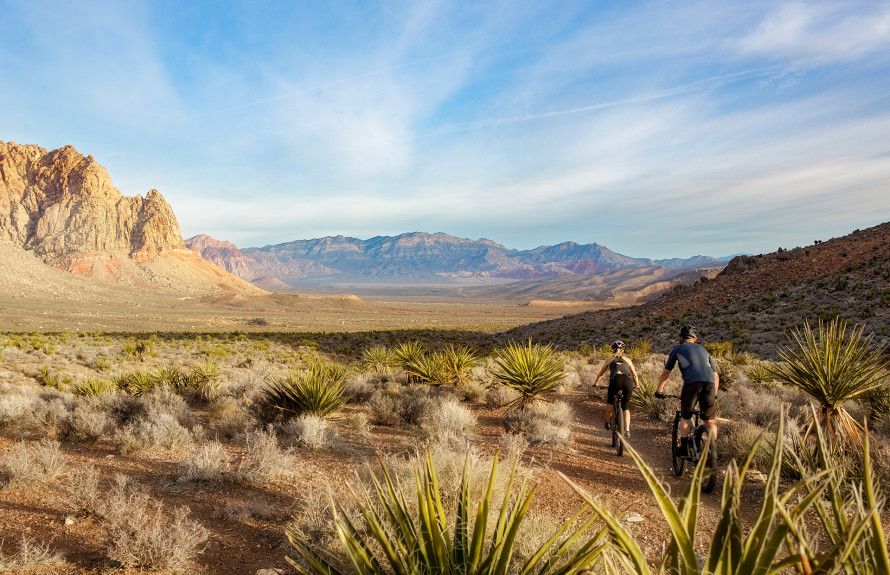 Incline at Ascension
