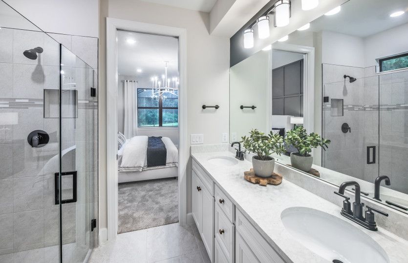 Model Representation | Owner's bathroom with designer finishes