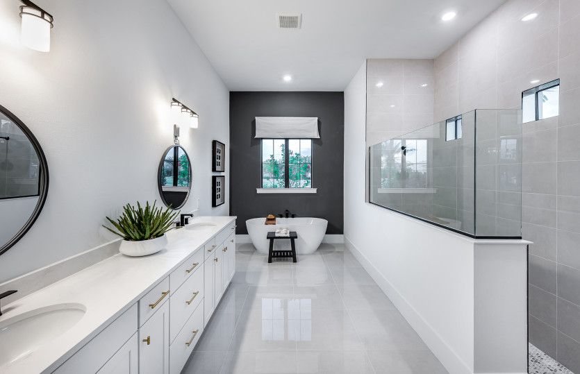 Luxurious owner's bath