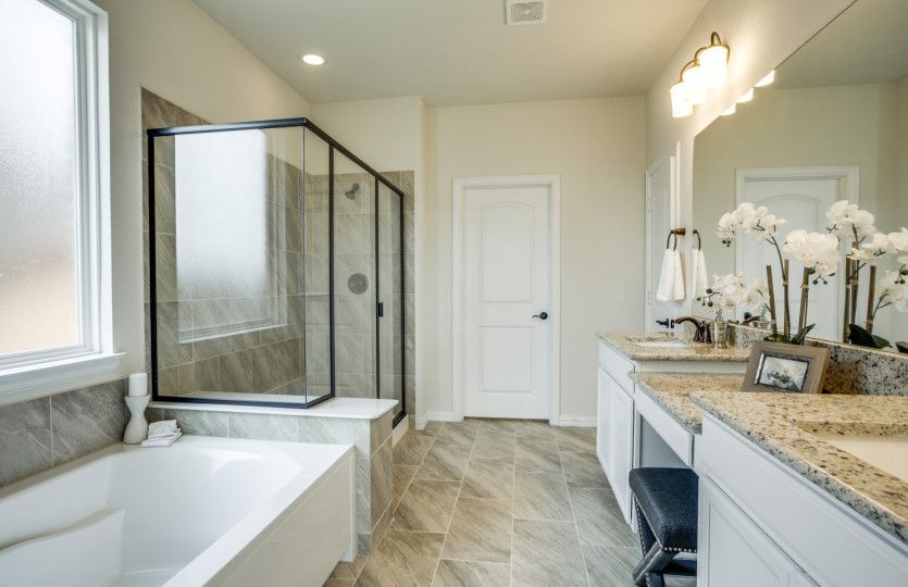 Owner's Bath