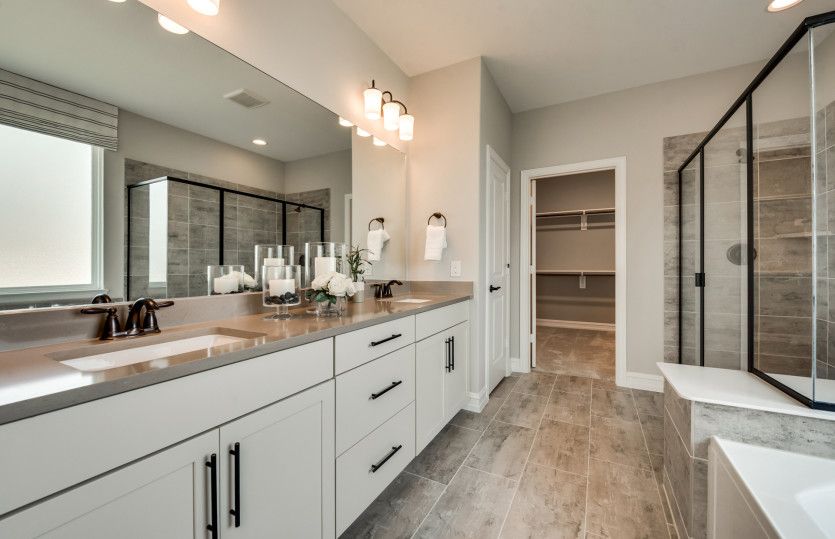 Owner's Bath