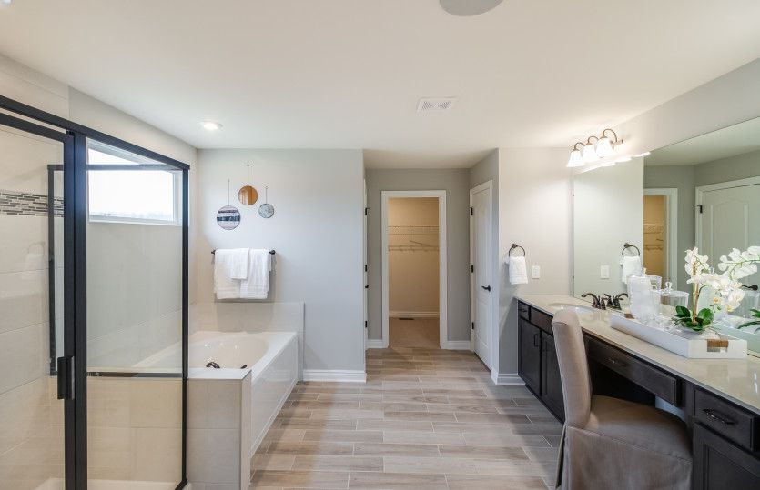 Owner's Bath