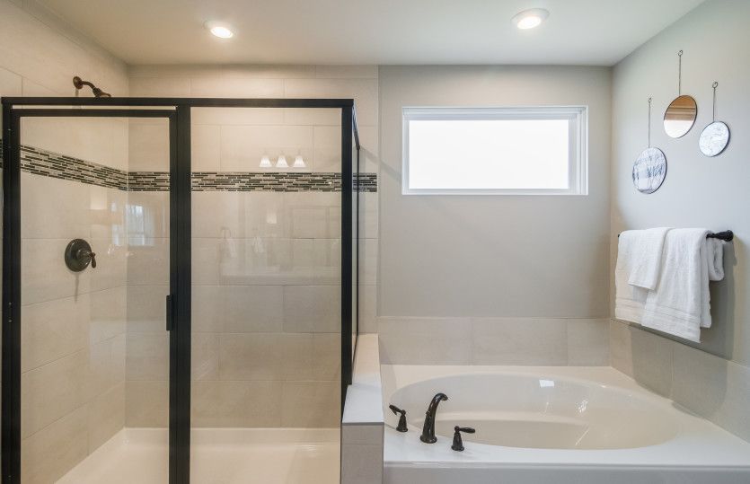 Owner's Bath
