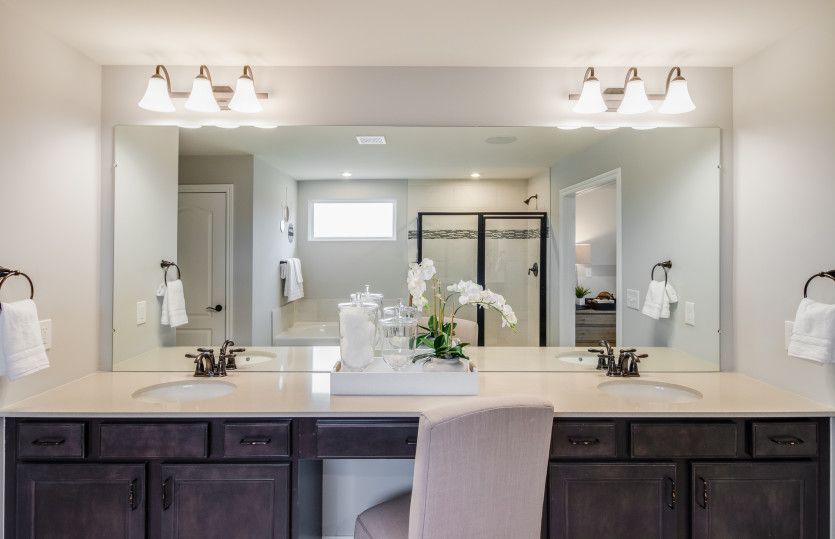 Owner's Bath