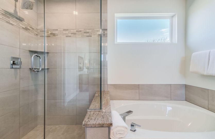 Owner's Bath