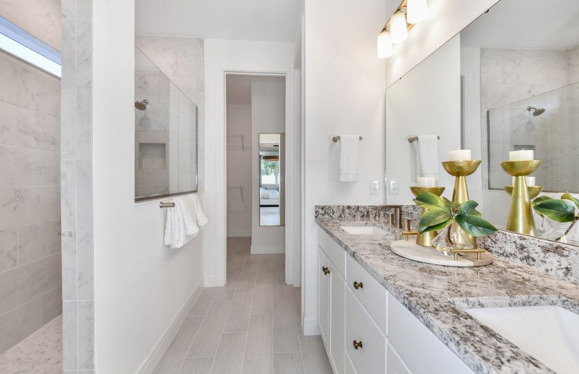Luxury Owner's Bath
