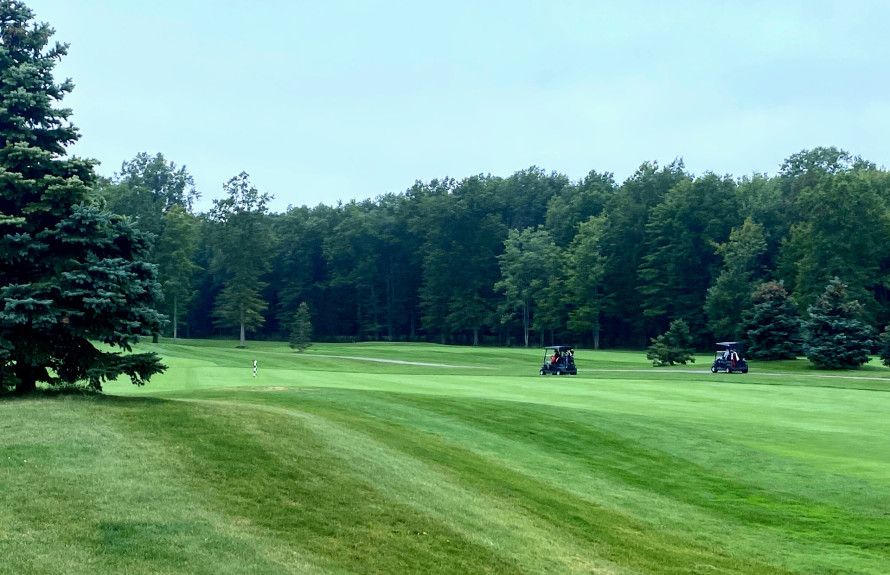 Moments from Tee Times