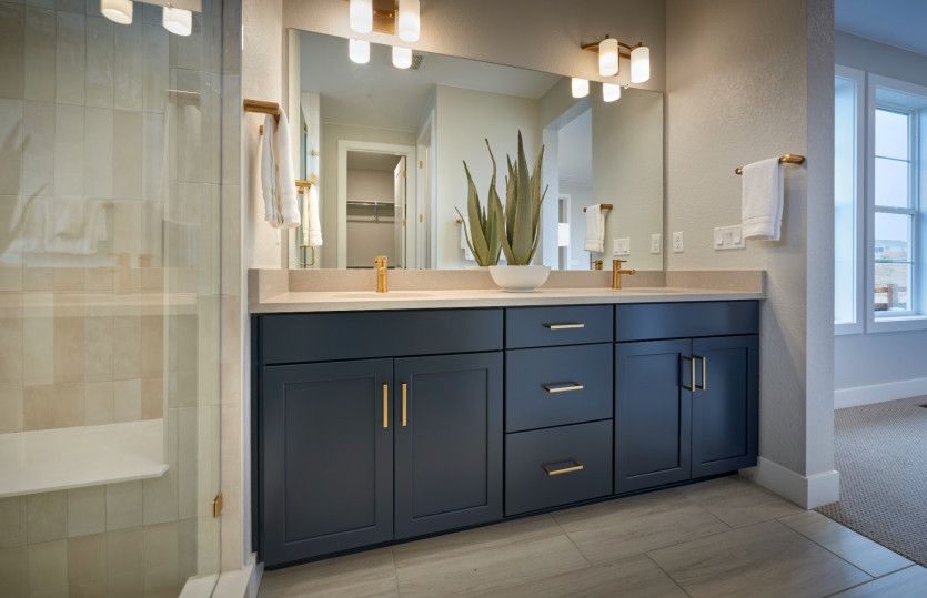 Owner's Bath