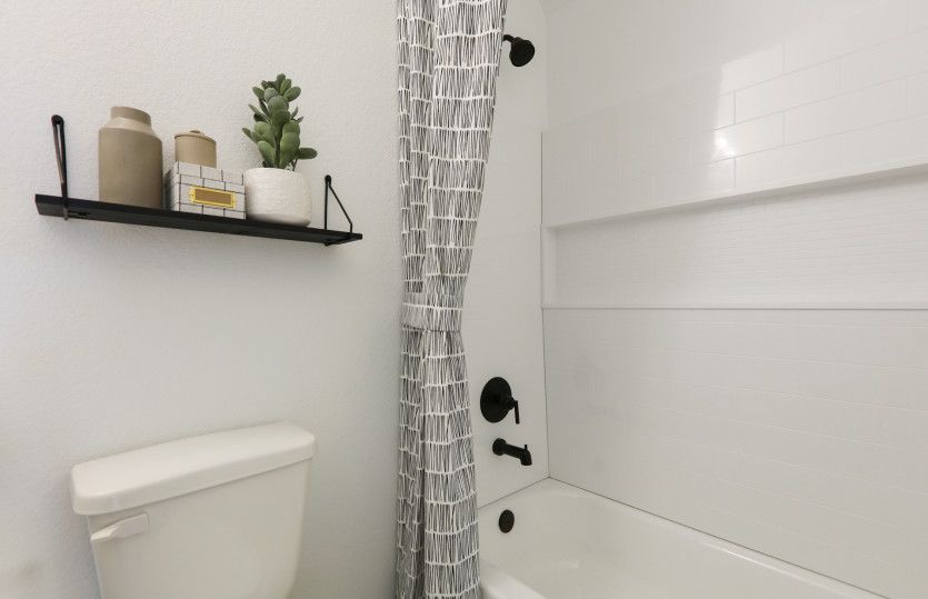 Powder Bath