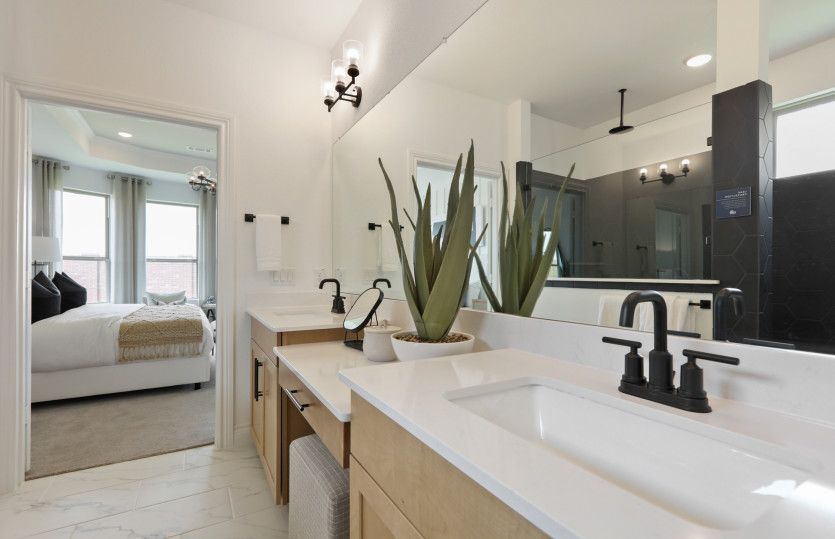 Owner's Bath