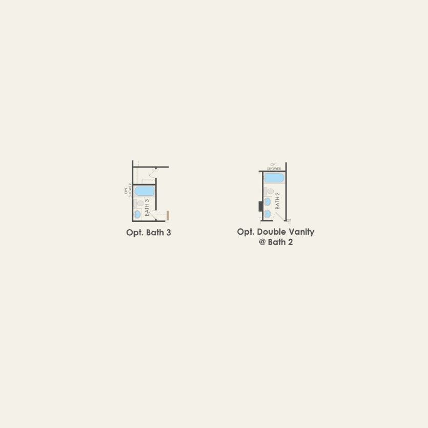 Options2