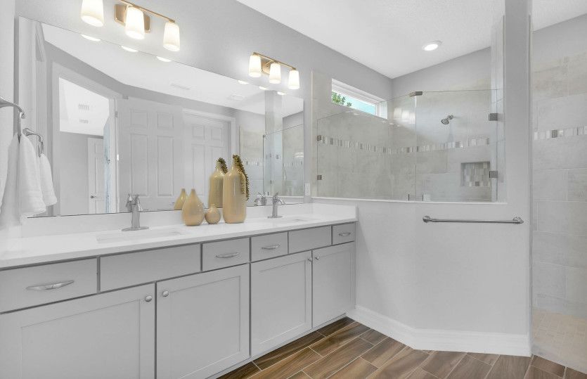 Owner's Bath, Model Representation