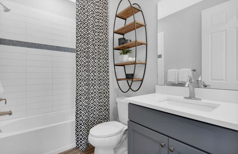 Guest Bathroom, Model Representation
