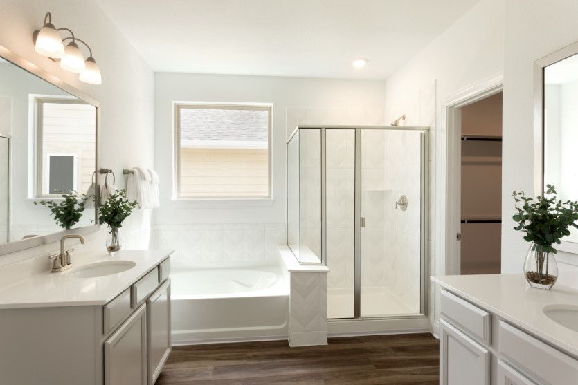 Owner's Bath