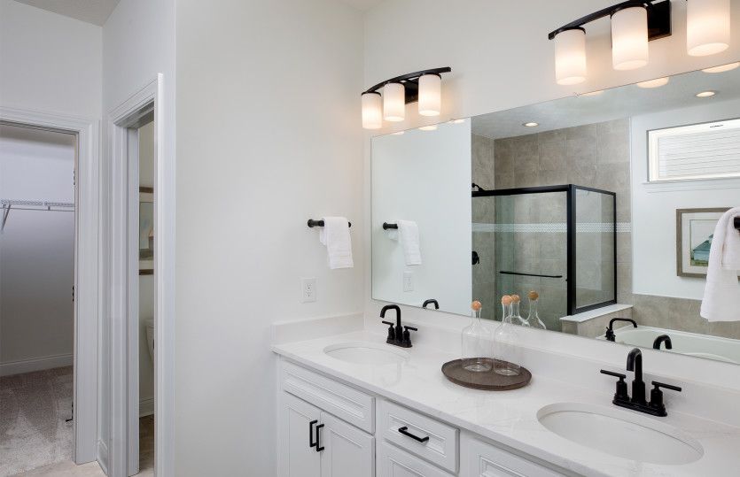 Owner's Bath