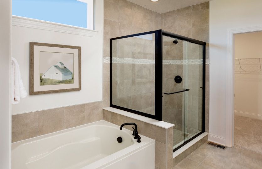 Owner's Bath