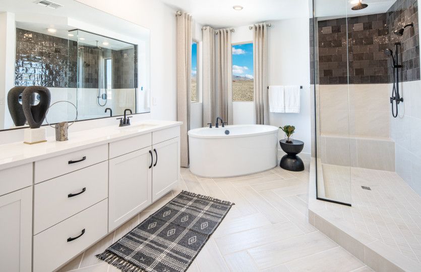 Owner's Bath