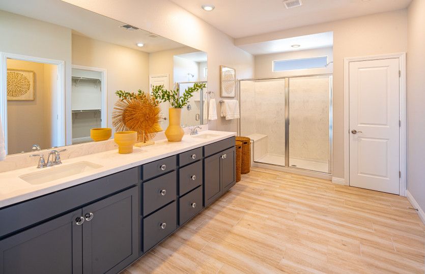 Owner's Bath