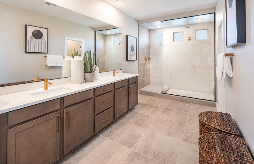 Owner's Bath