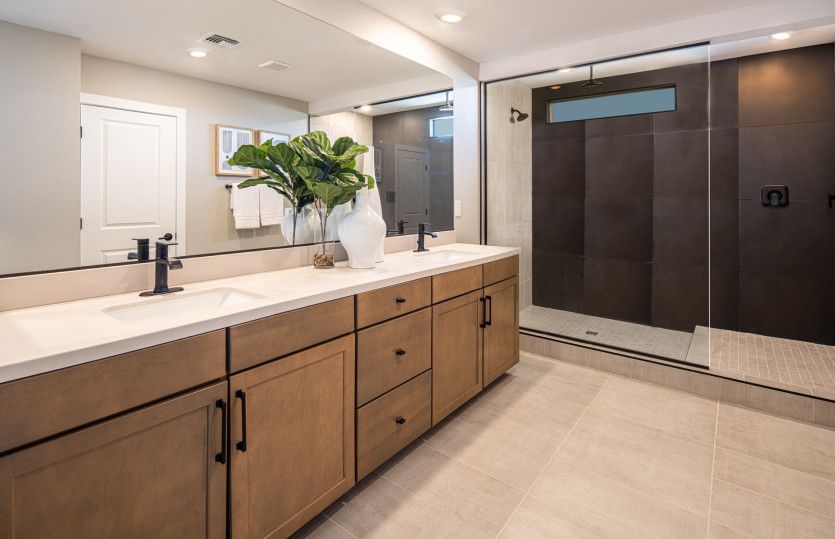 Owner's Bath