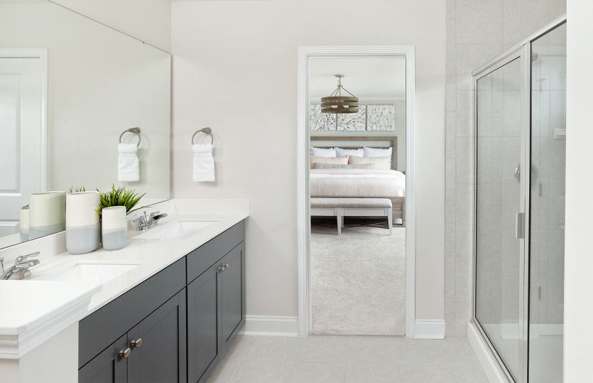 Owner's Bath