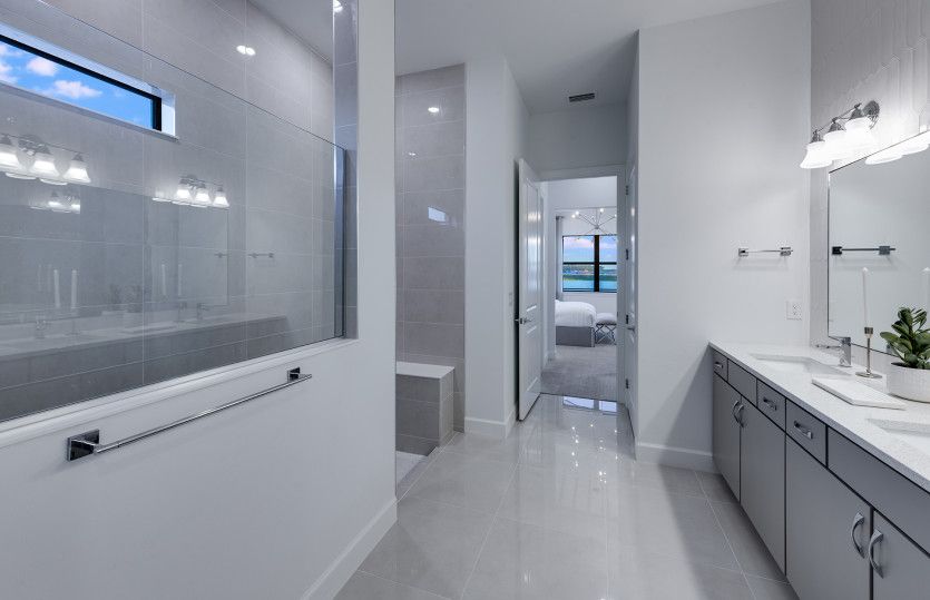Owner's bathroom with large walk-in shower