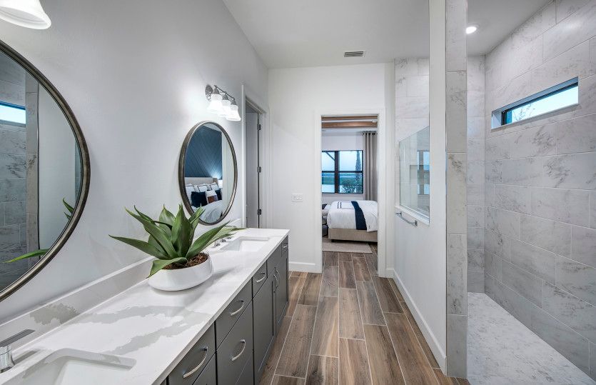 Owner's bathroom with large walk-in shower