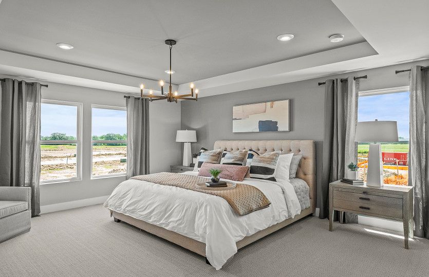 Owner's Suite with Tray Ceiling