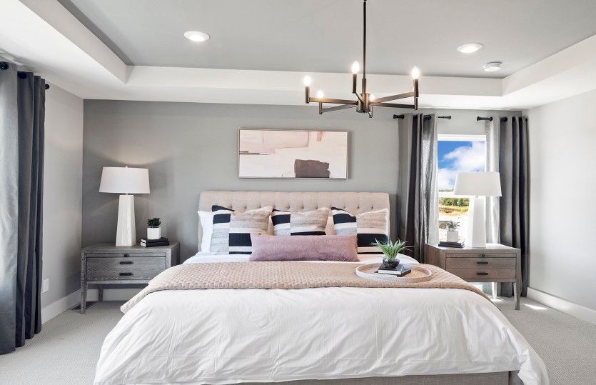 Owner's Suite with Tray Ceiling