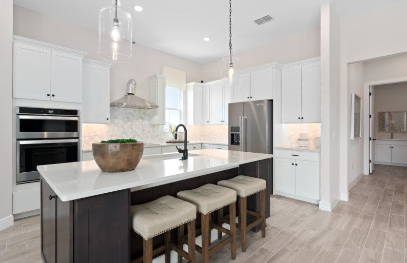 Designer's Kitchen